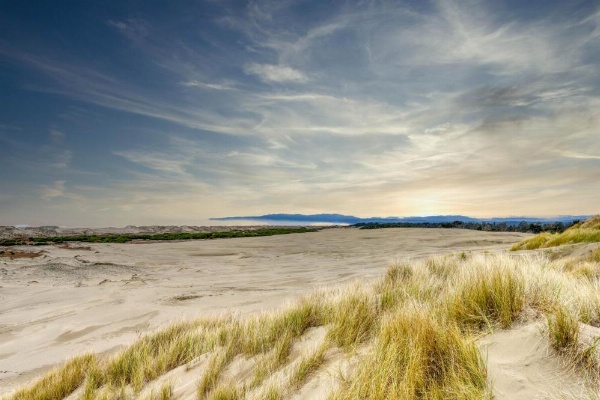 Manila Cove Majesty image 26