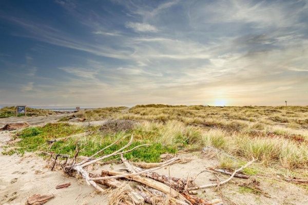 Manila Cove Majesty image 27