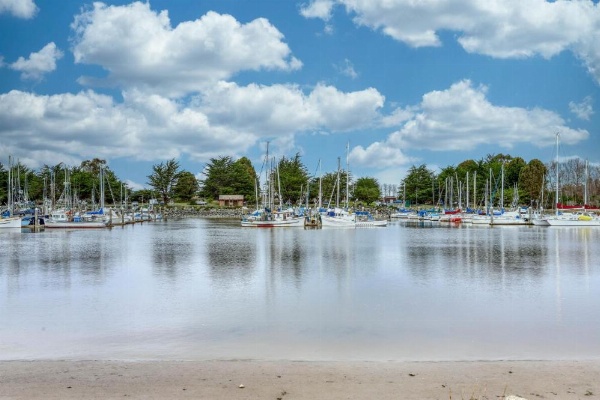 Manila Cove Majesty image 28